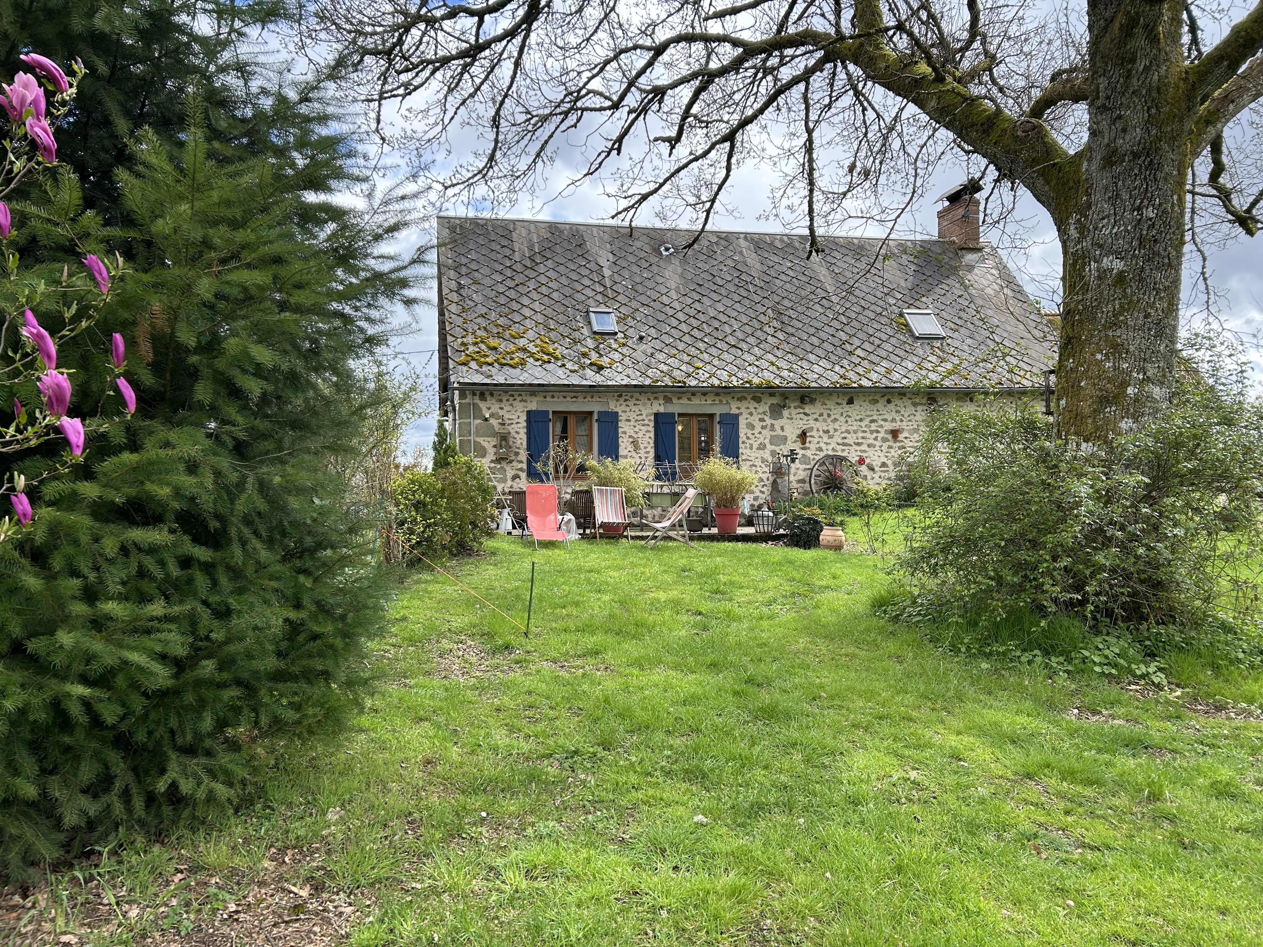 LM Immobilier